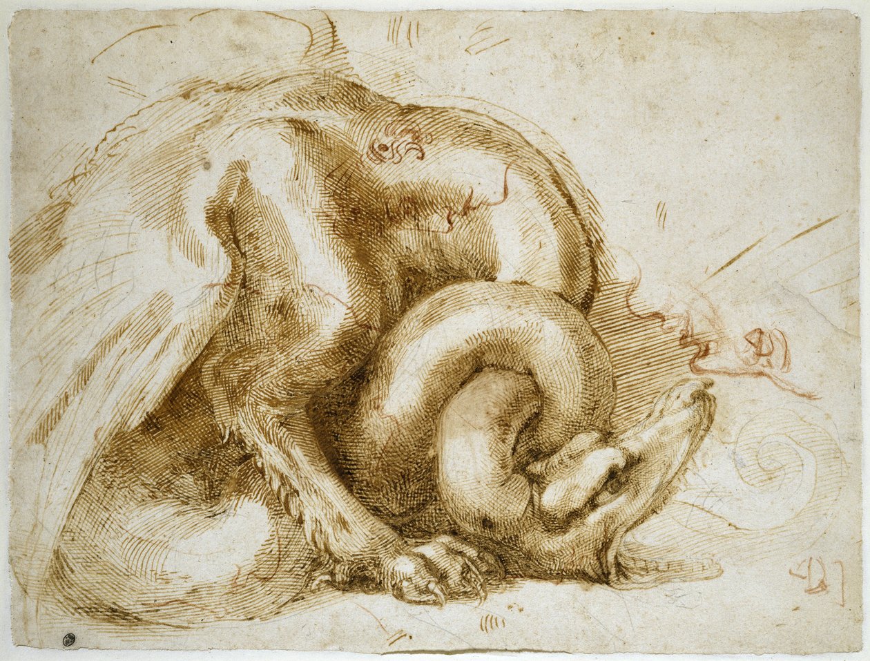 Studie okřídlené příšery, asi 1525 (červená a černá křída na papíře) od Michelangelo Buonarroti