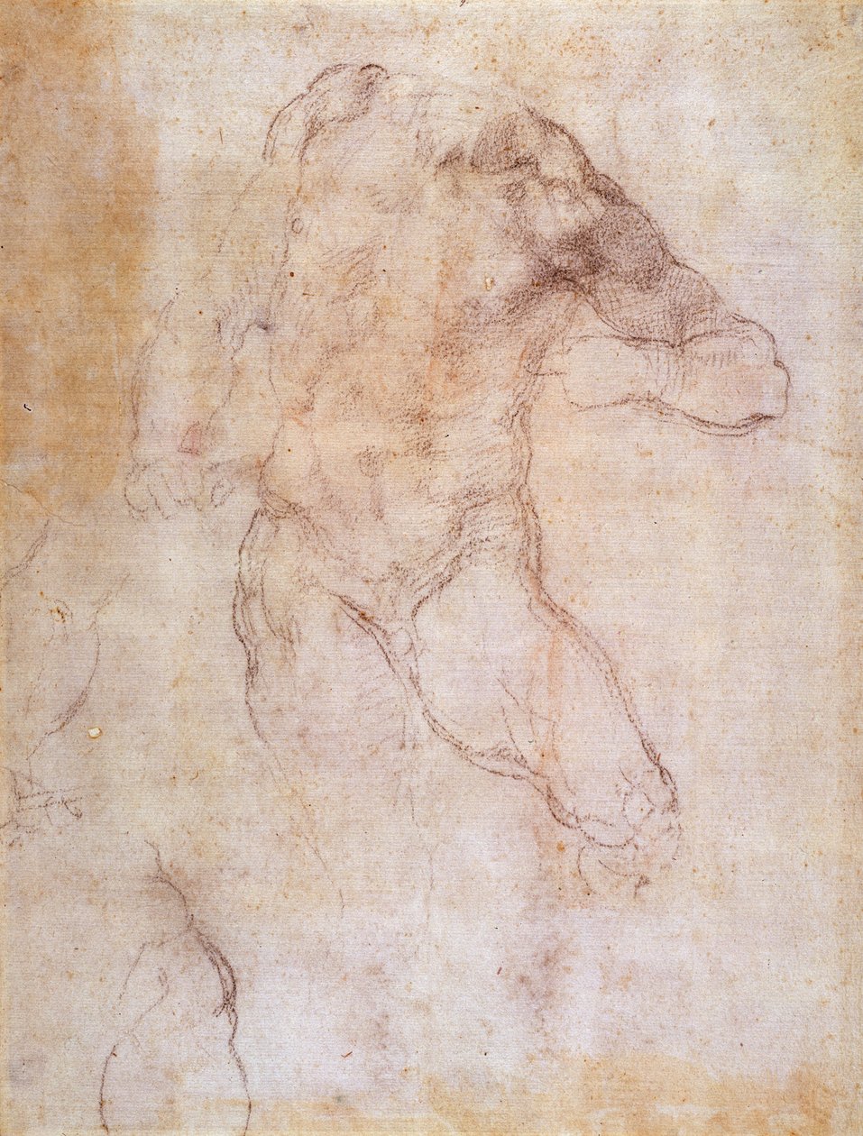 Studie mužského aktu od Michelangelo Buonarroti