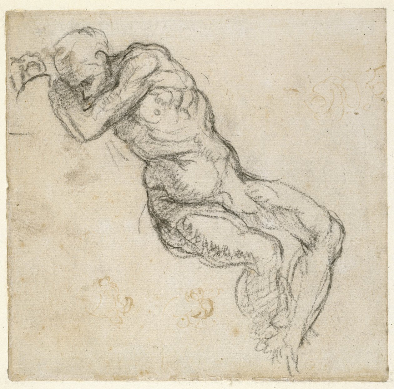 Studie mužského aktu, c.1511 (pero a černá křída na papíře) od Michelangelo Buonarroti