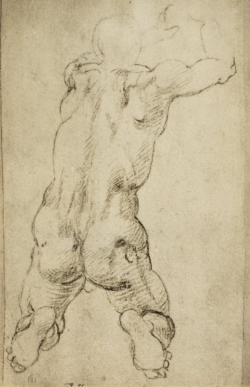 Studie mužné postavy: kresba Michelangelo. Casa Buonarroti, Florencie od Michelangelo Buonarroti