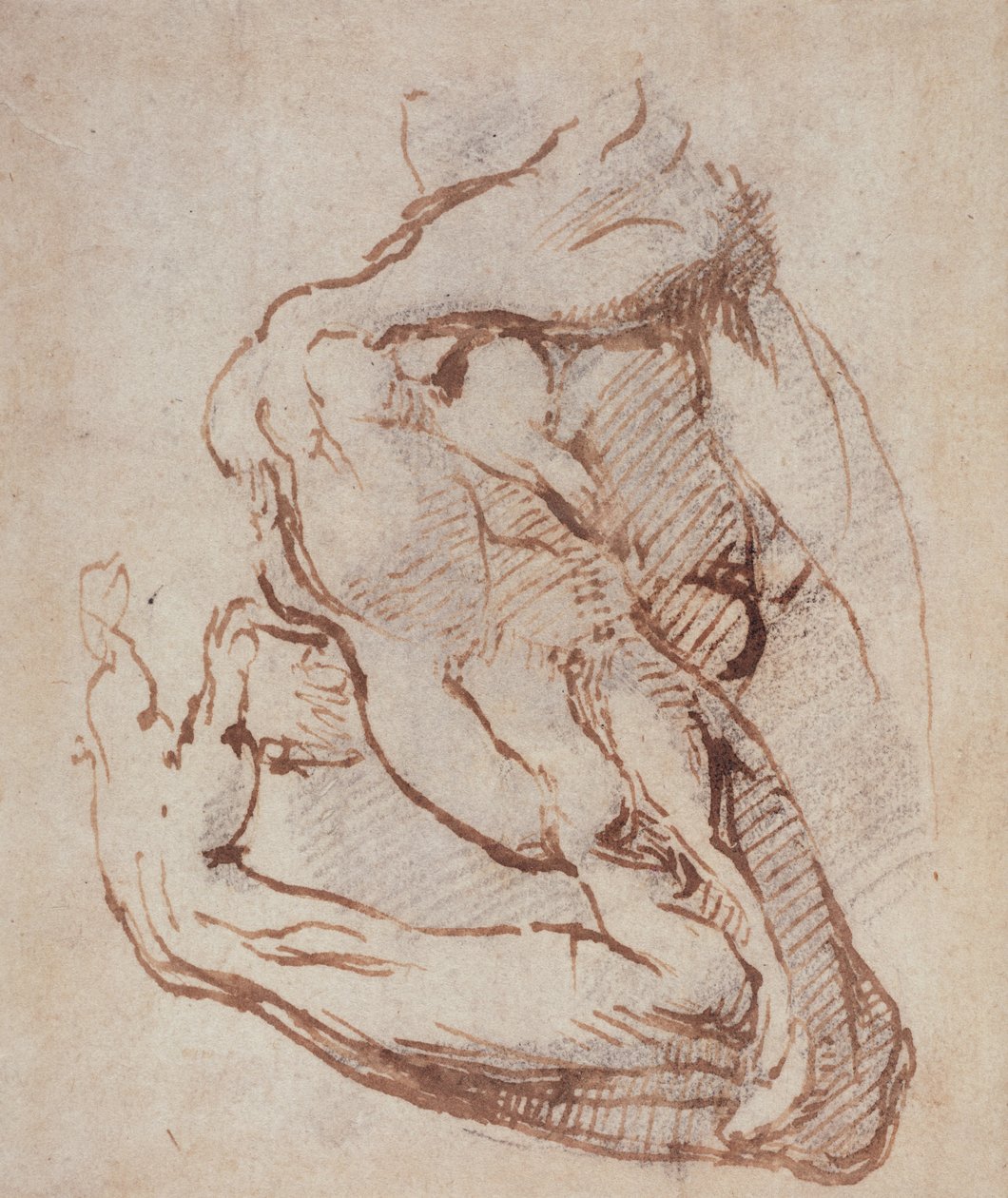 Study of an Arm (inkoust) Inv. 1859514819 (W.49) od Michelangelo Buonarroti