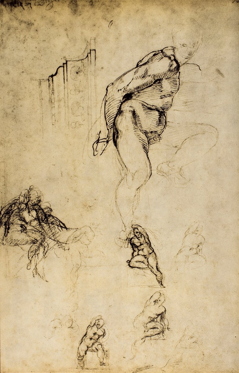 Studium mužských forem, kresba Michelangelo. Casa Buonarroti, Florencie od Michelangelo Buonarroti