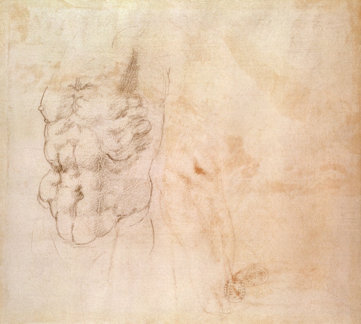 Studie trupu (červená a černá křída na papíře) od Michelangelo Buonarroti
