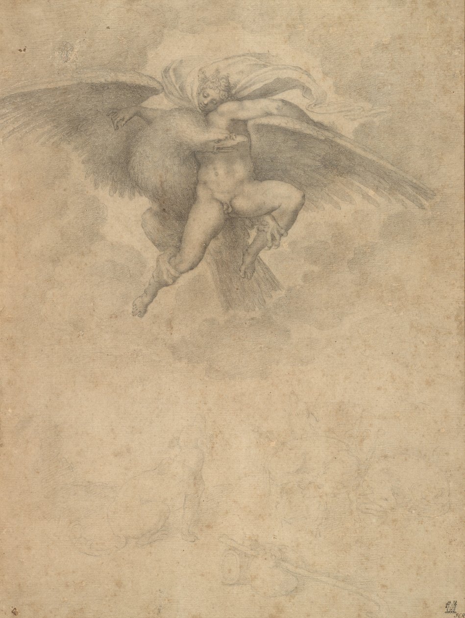 Ganymede (černá křída na papíře) od Michelangelo after Buonarroti