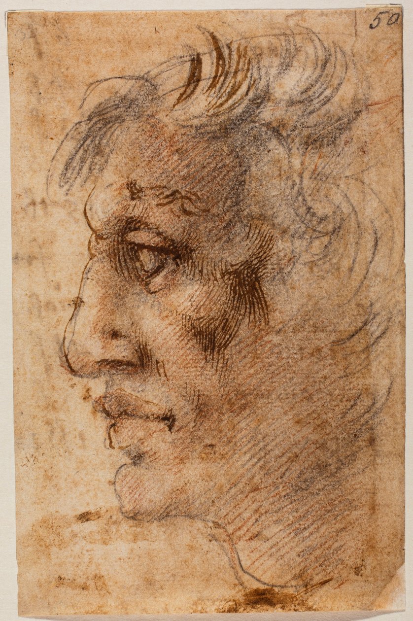 Mužská hlava z profilu od Michelangelo (after) Buonarroti