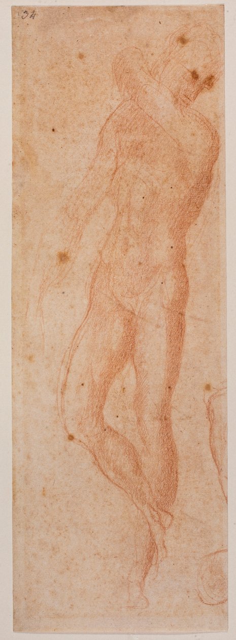 Studie mužského aktu od Michelangelo (after) Buonarroti