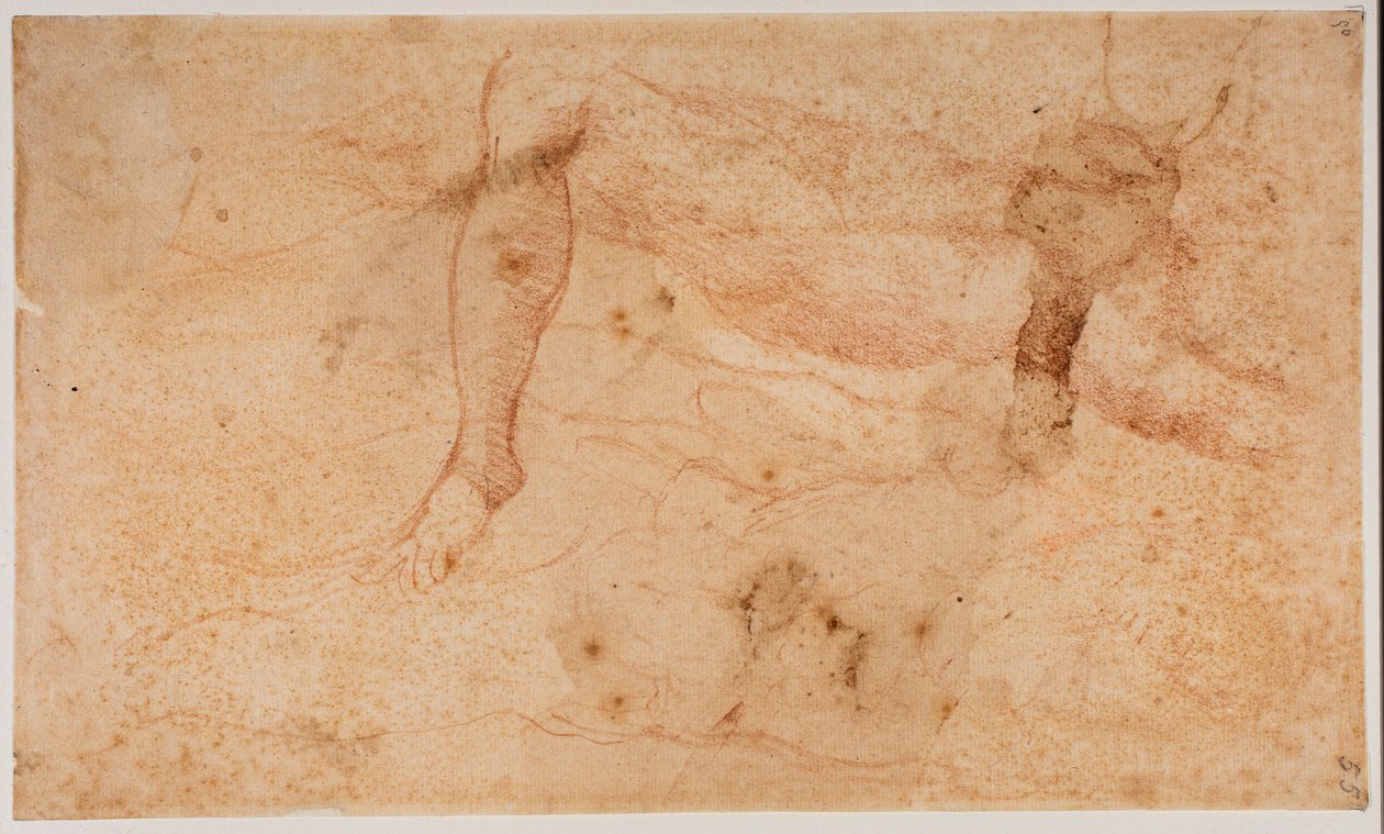 Studie aktů od Michelangelo (after) Buonarroti