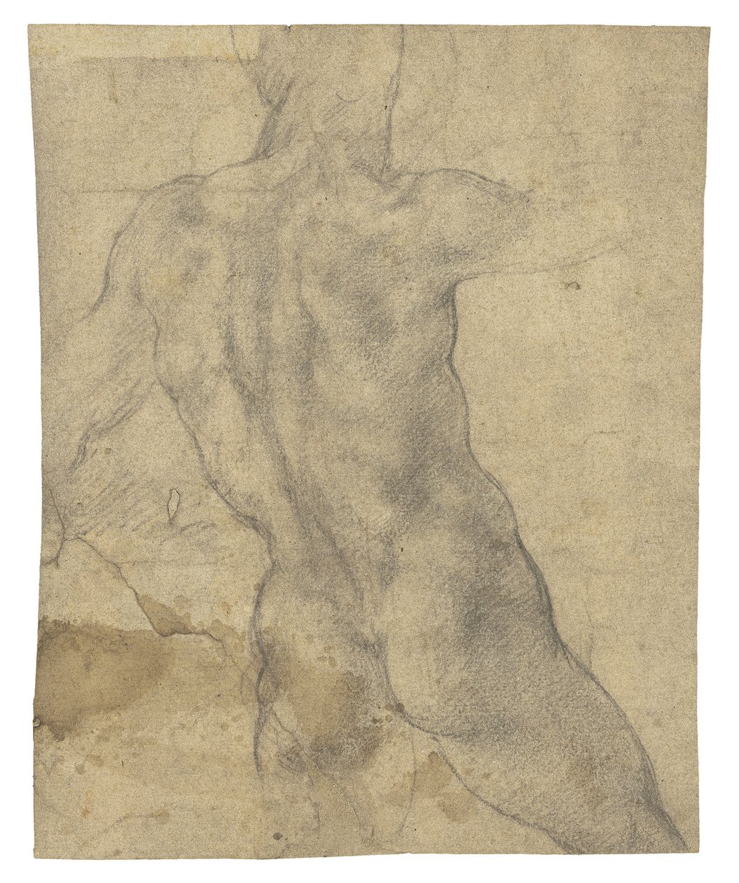 Mužský akt při pohledu zezadu od Michelangelo Buonarroti