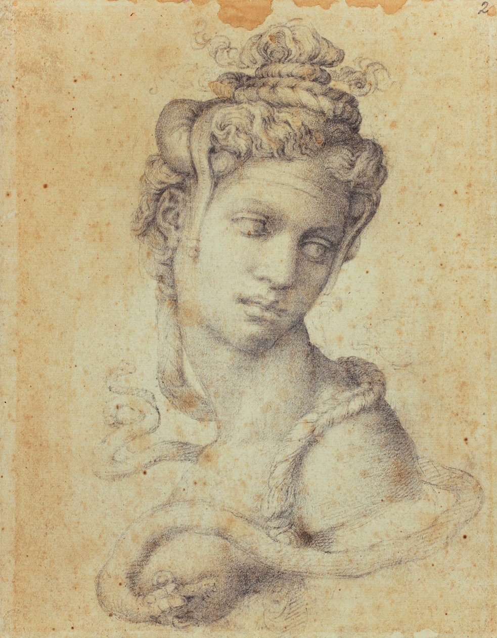 Kleopatra od Michelangelo Buonarroti