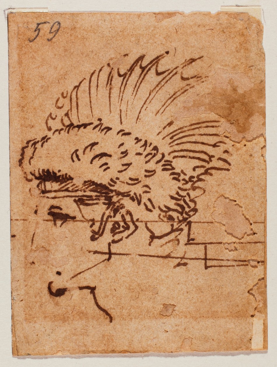 Chocholatá hlava od Michelangelo Buonarroti