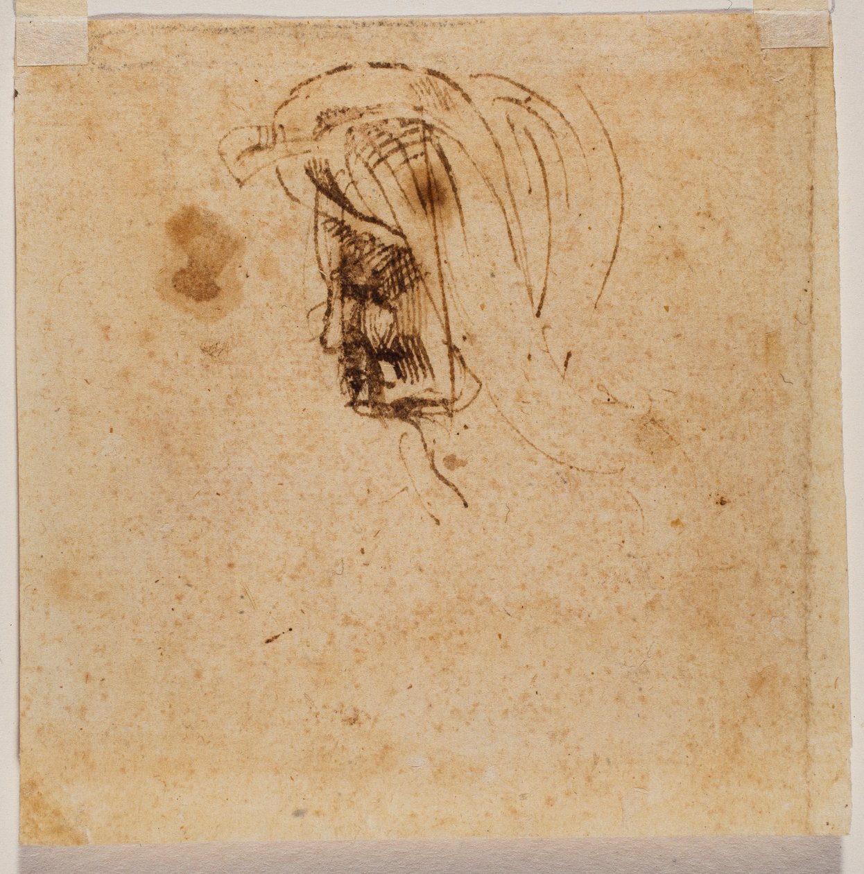 Hlava ženy od Michelangelo Buonarroti