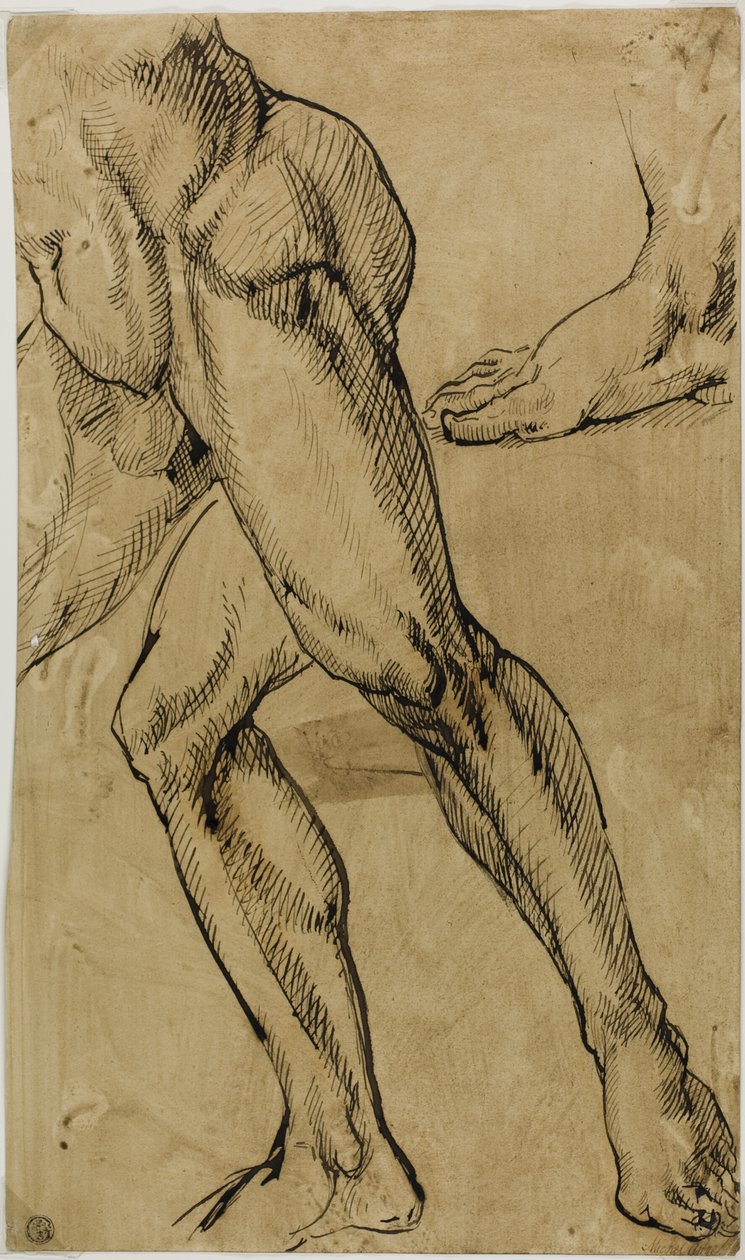 Nohy a chodidla mužského aktu od Michelangelo Buonarroti