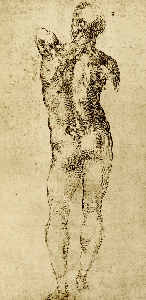 Mužský akt od Michelangelo Buonarroti