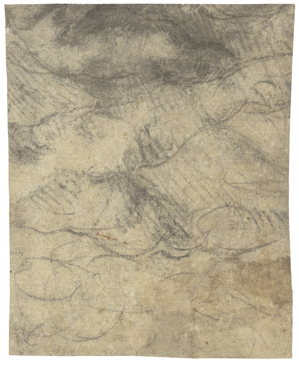 Mužský akt od Michelangelo Buonarroti