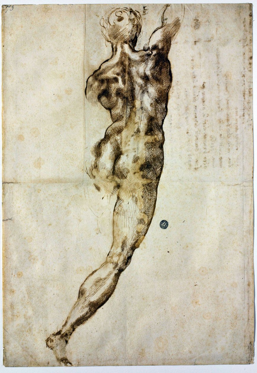 Nahá zezadu, c. 1504 od Michelangelo Buonarroti