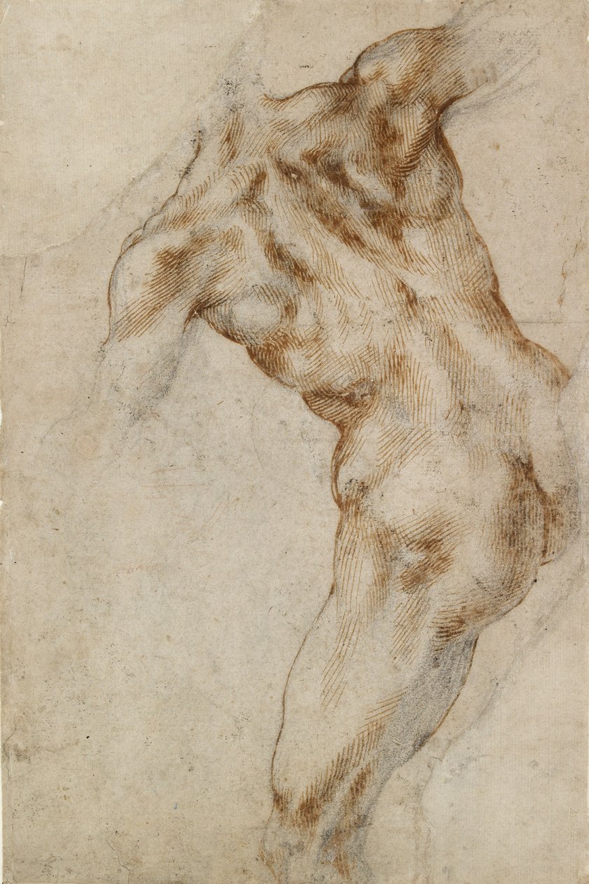 Nahé mužské torzo, počátek 16. století od Michelangelo Buonarroti