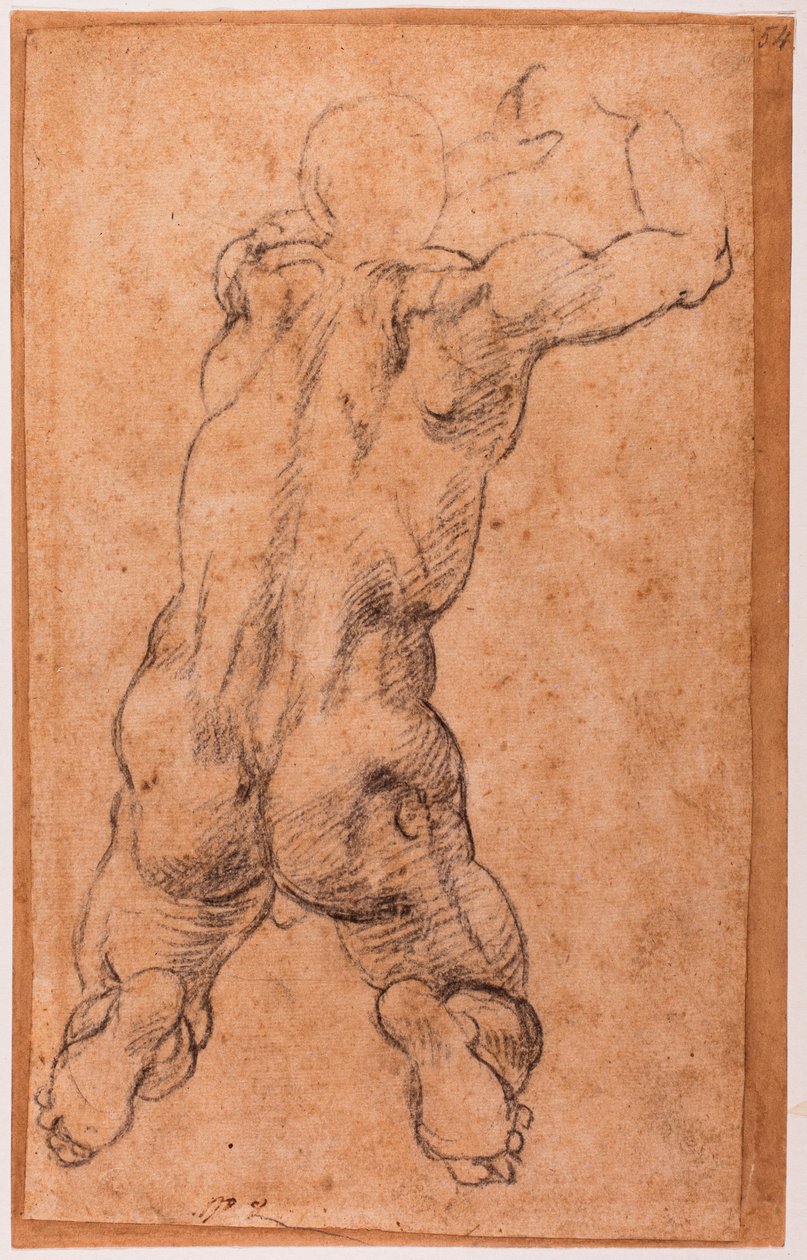 Studie klečícího mužského aktu od Michelangelo Buonarroti