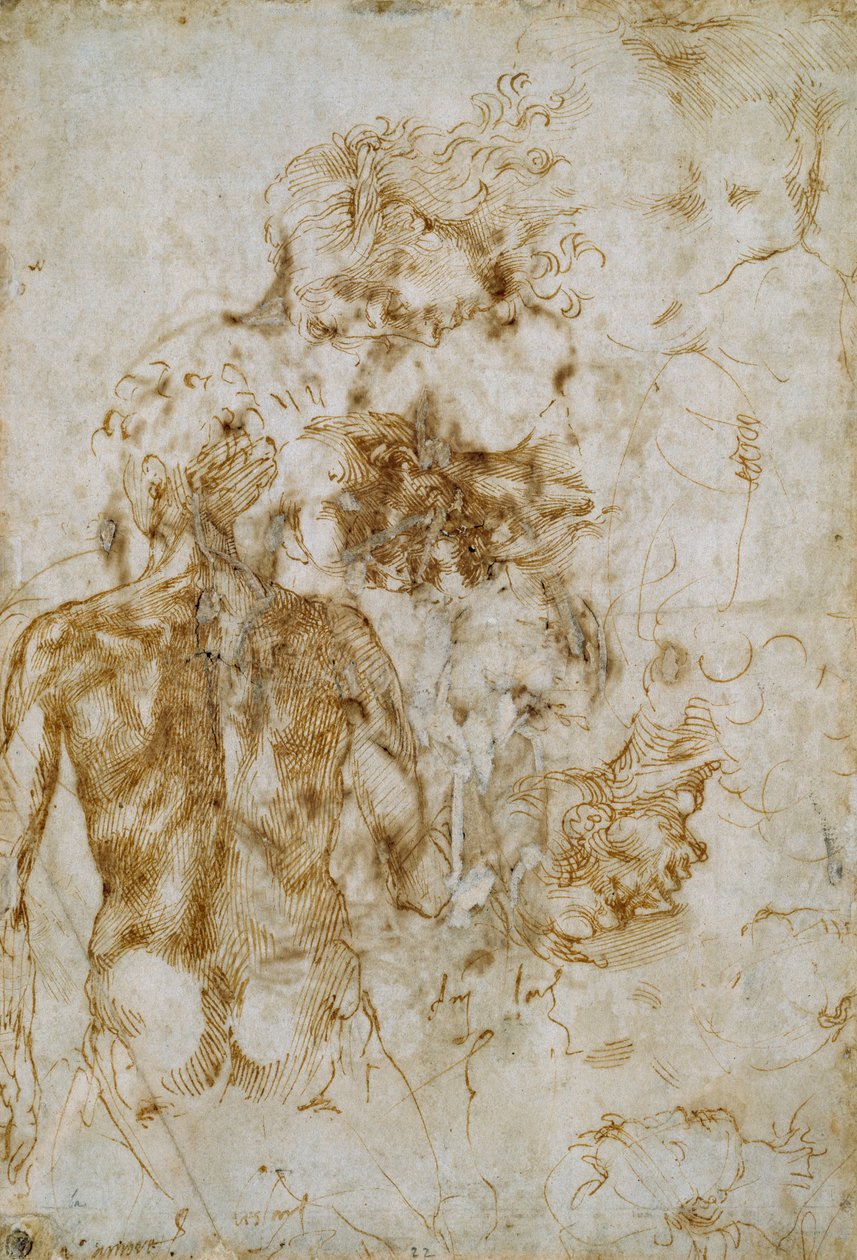 Různé figurální studie, c1490-1560 od Michelangelo Buonarroti