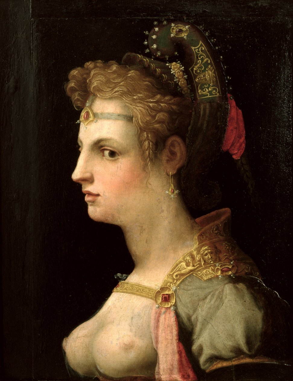 Venuše Viktorová od Michele di Ridolfo Tosini