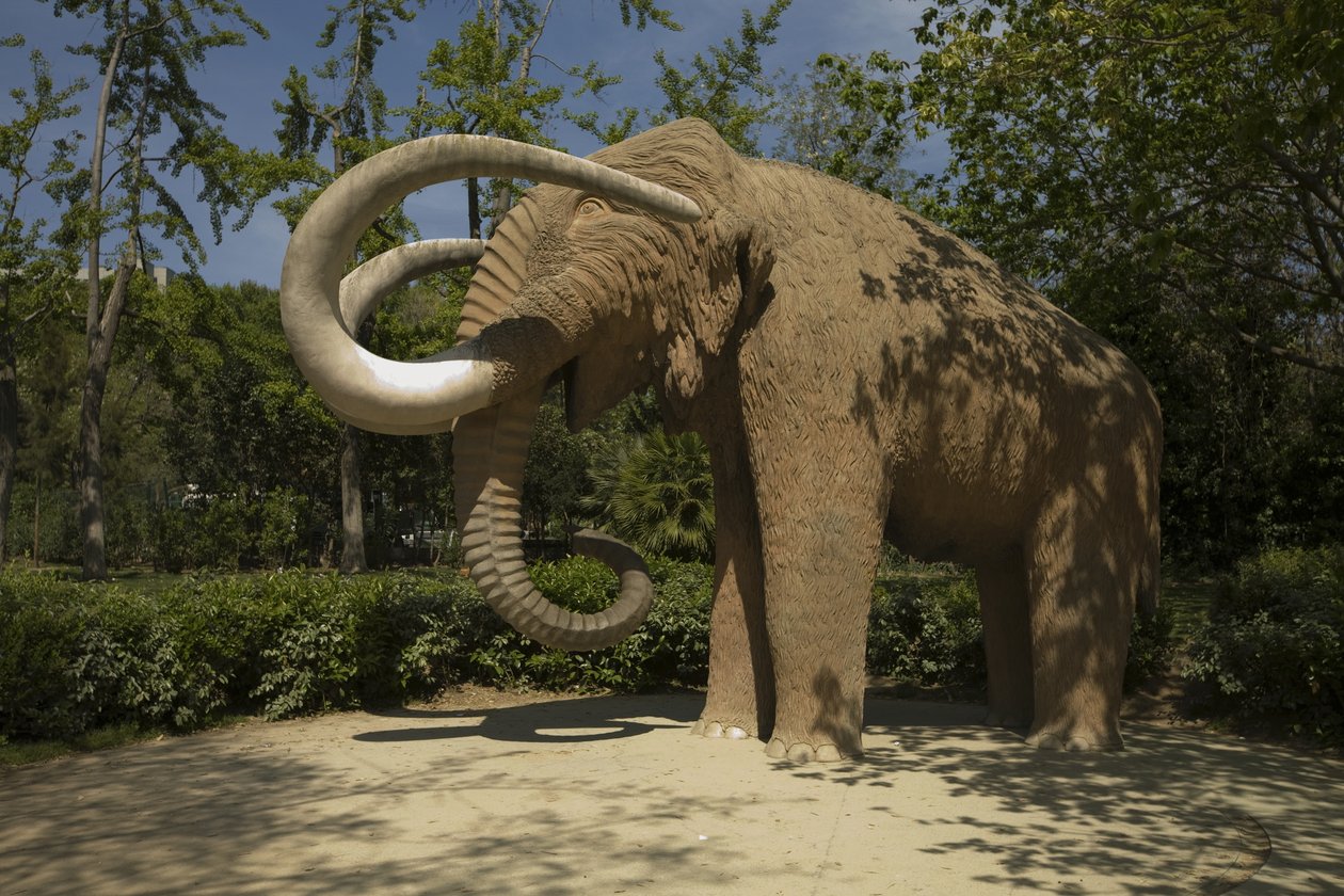 Mamut, 1907 od Miguel Dalmau