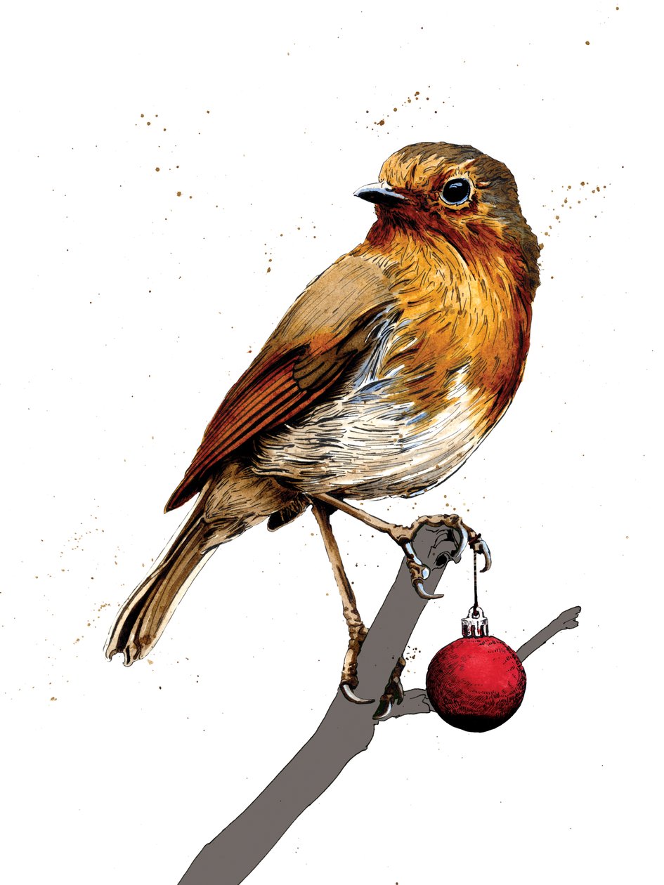 Vánoční Robin na bílém, 2020 od Mike Davis