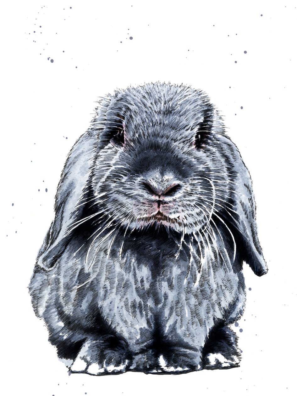 Gray One The Bunny on White, 2019 od Mike Davis