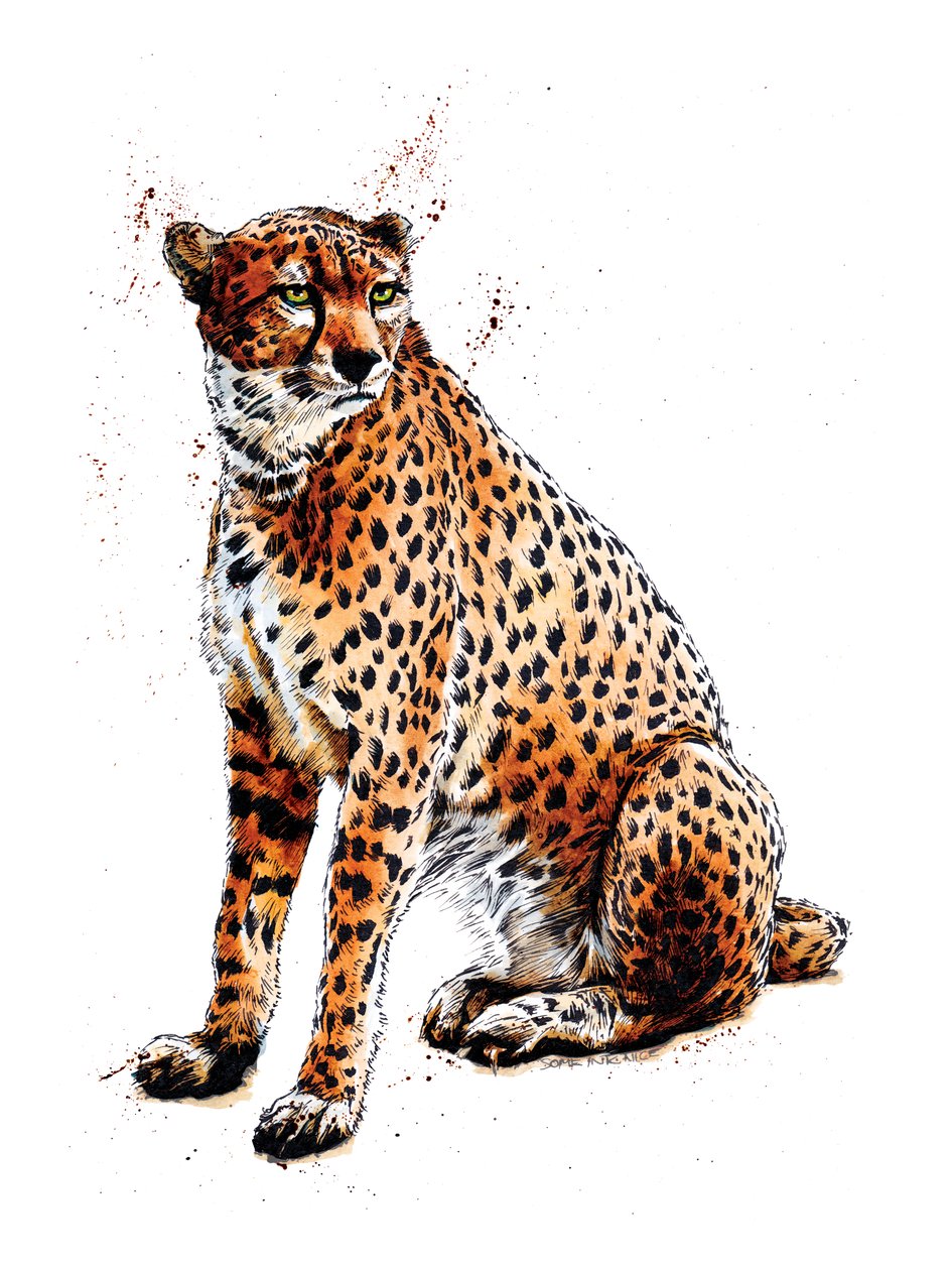 Gepard na bílém, 2020 od Mike Davis