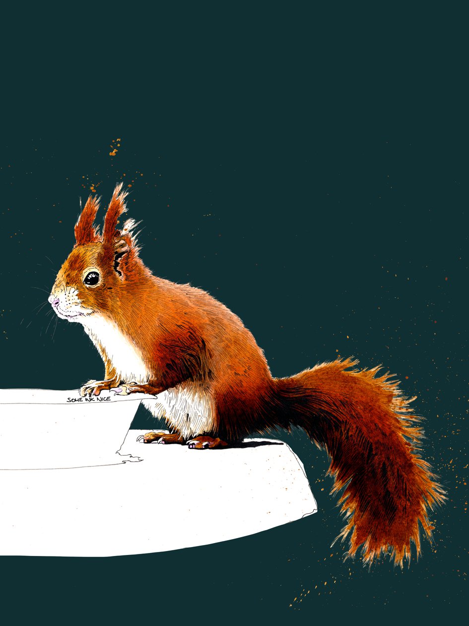 The Red Squirrel on Deep Cyan, 2020 od Mike Davis