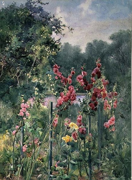 Hollyhocks od Mildred Anne Butler