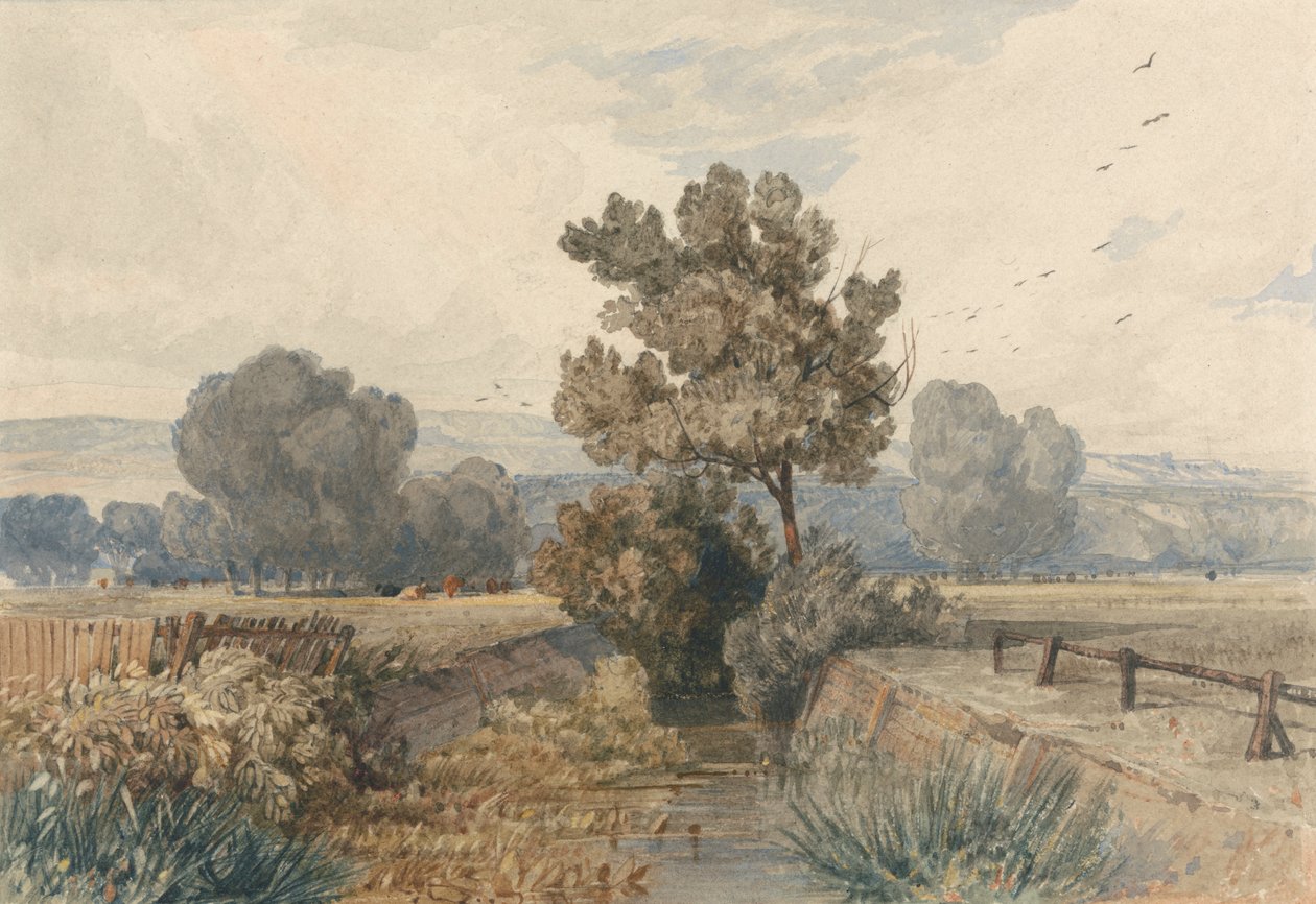 Scéna v Elmhamu, Norfolk od Miles Edmund Cotman