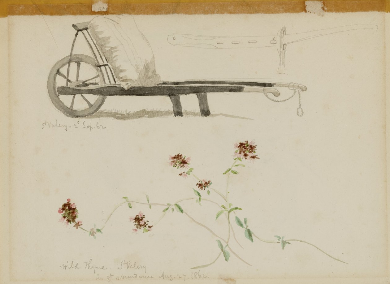 St. Valery-Blow-Wild Thyme od Miner Kilbourne Kellogg