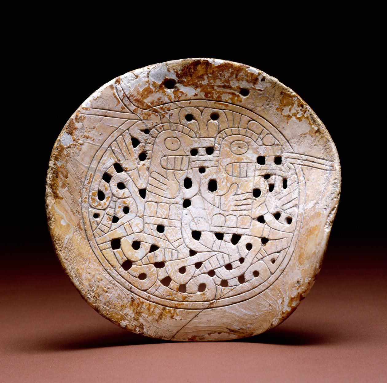 Shell goget, Dallas Phase, 1300-1500 (mořský shell) od Mississippian culture