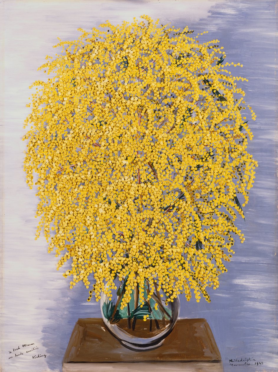 Mimózy od Moise Kisling