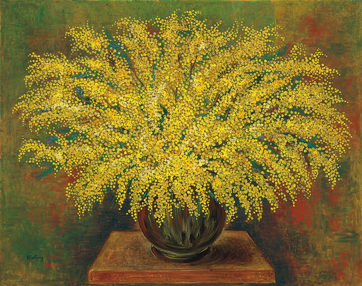 Mimózy od Moise Kisling