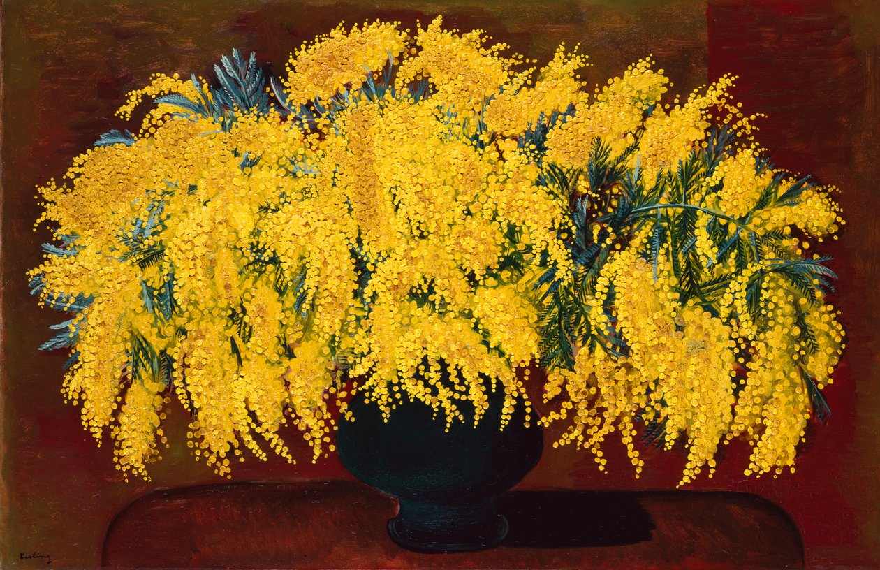 Mimózy od Moise Kisling