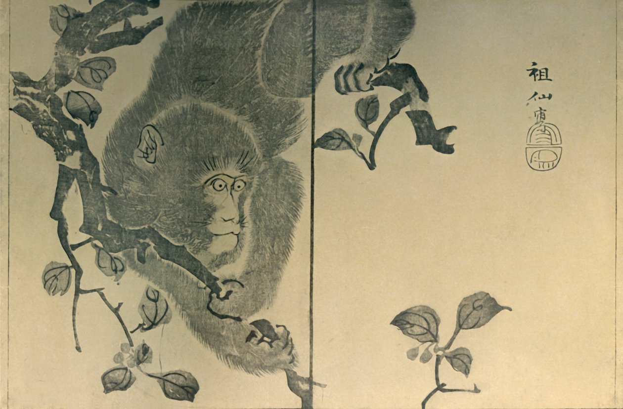 Opice, 1815, 1924. od Mori Sosen