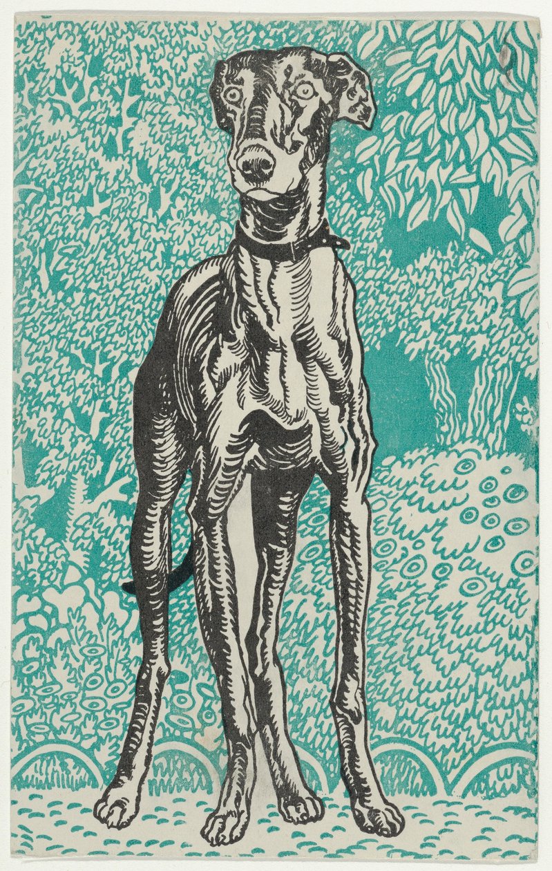 Greyhound, 1912. od Moritz Jung