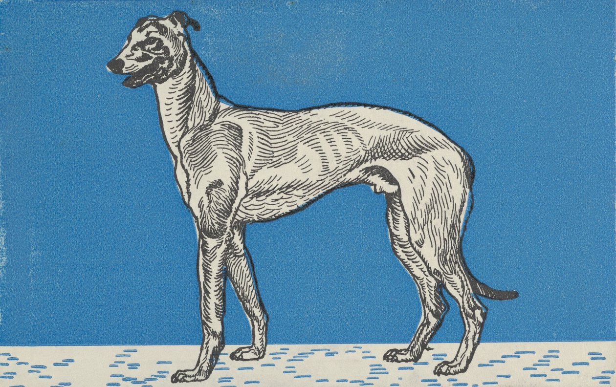 Greyhound, 1912. od Moritz Jung