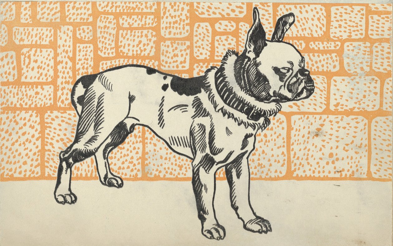 Pitbull teriér, 1912. od Moritz Jung