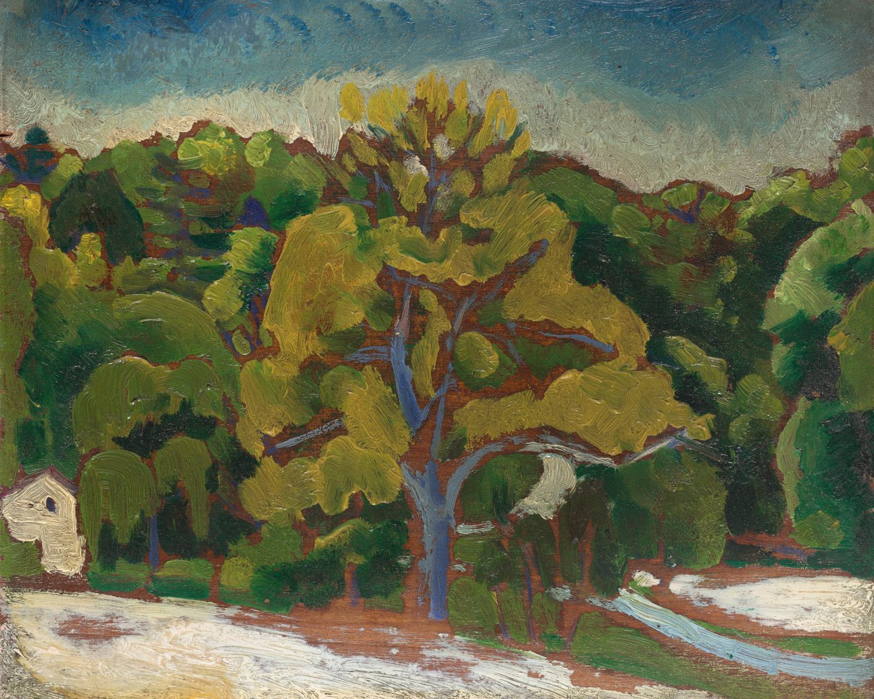 Krajina, c. 1912. od Morton Livingston Schamberg