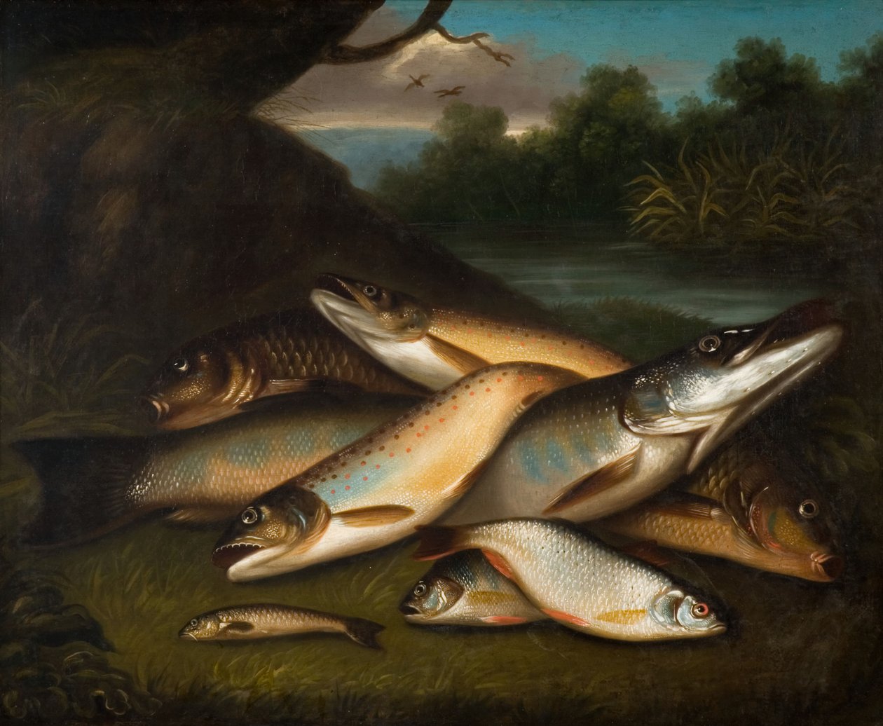 Ryba, 1790. od Moses Haughton