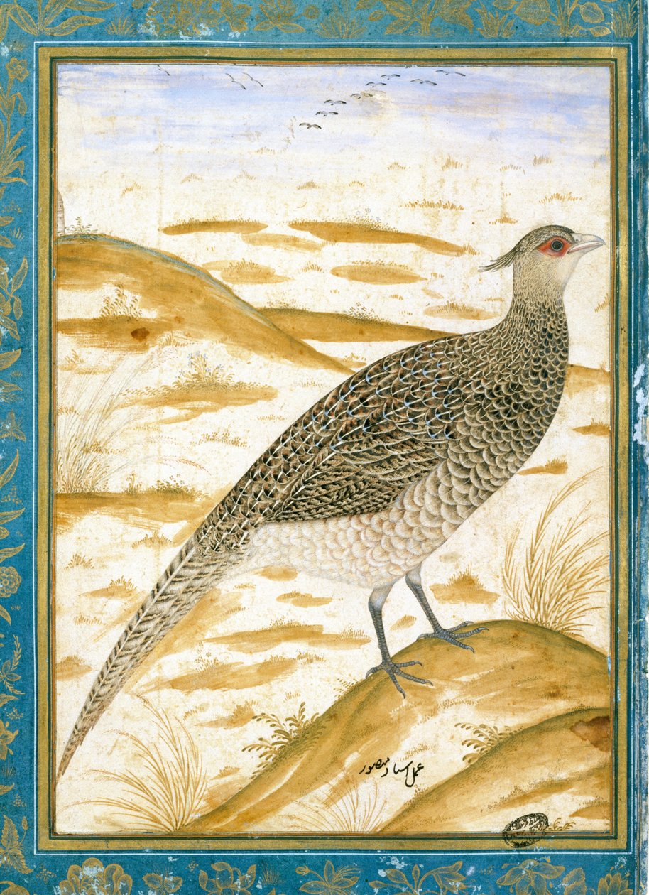 Himalayan Cheer Bažant proti Sandy Landscape, c.1620 od Mughal School