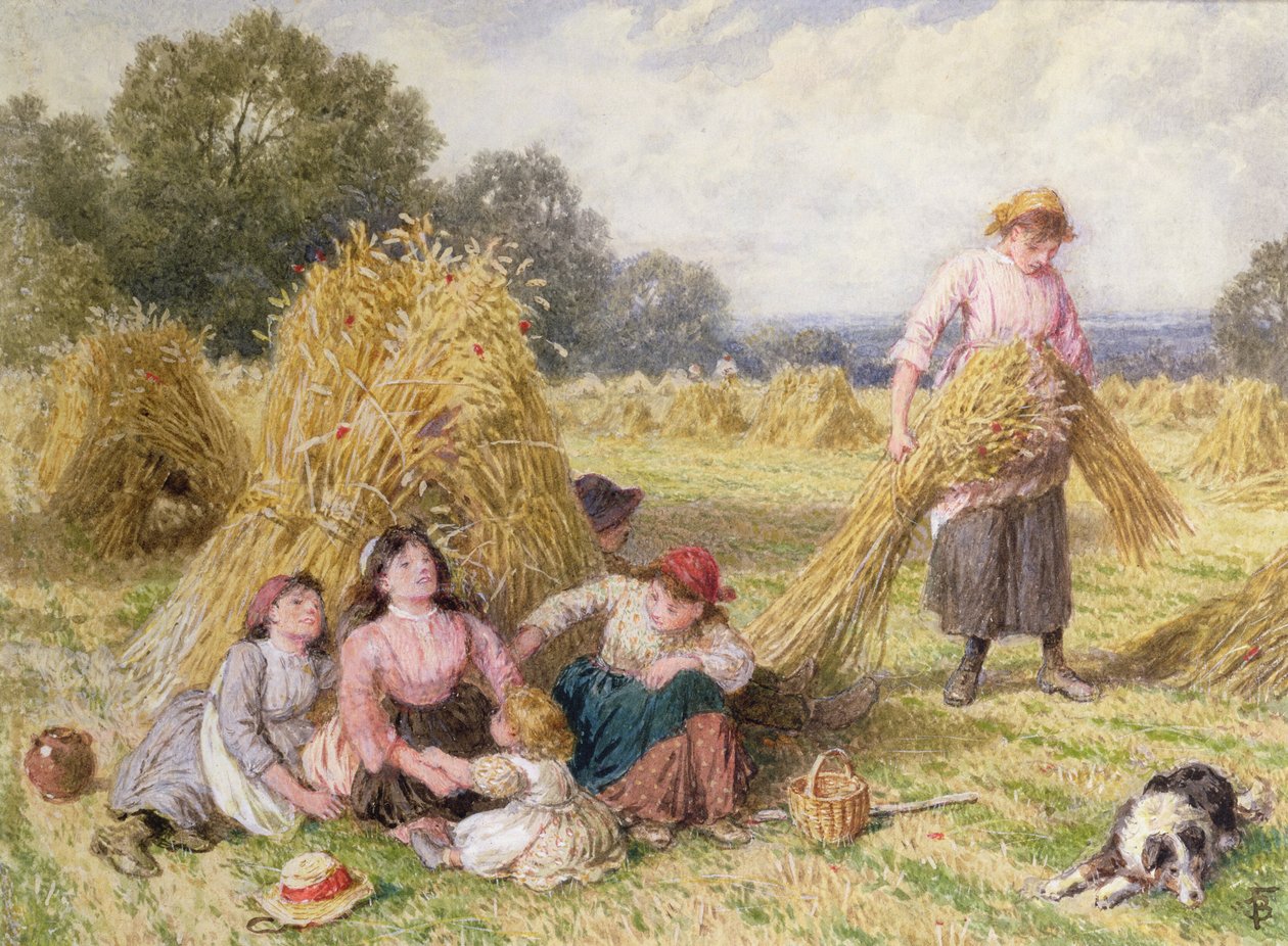 Kukuřičné pole od Myles Birket Foster