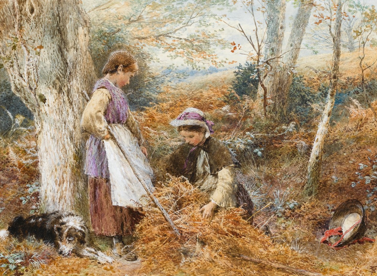 The Fern Gatherers (wc na papíře) od Myles Birket Foster