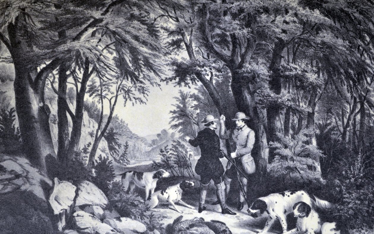 Currier & Ives ilustrace 19. století. Partridge Střelba od N. and Ives, J.M. Currier