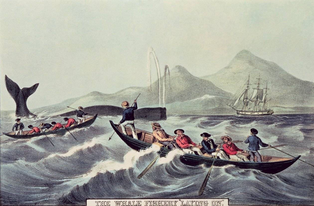 The Whale Fishery 