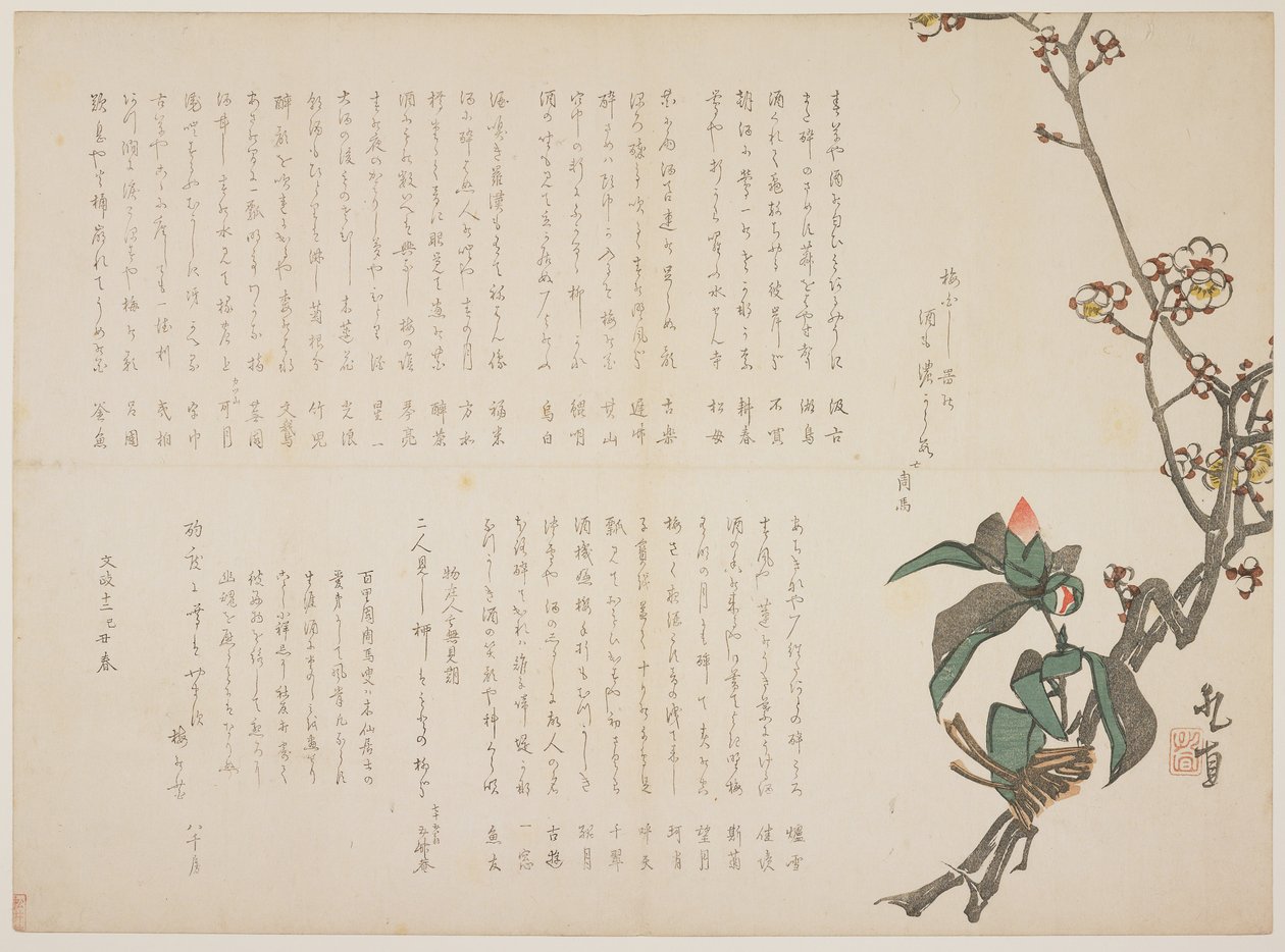 Větve švestky a kamélie, 1829 (barevný dřevotisk) od Nagayama Kchoku