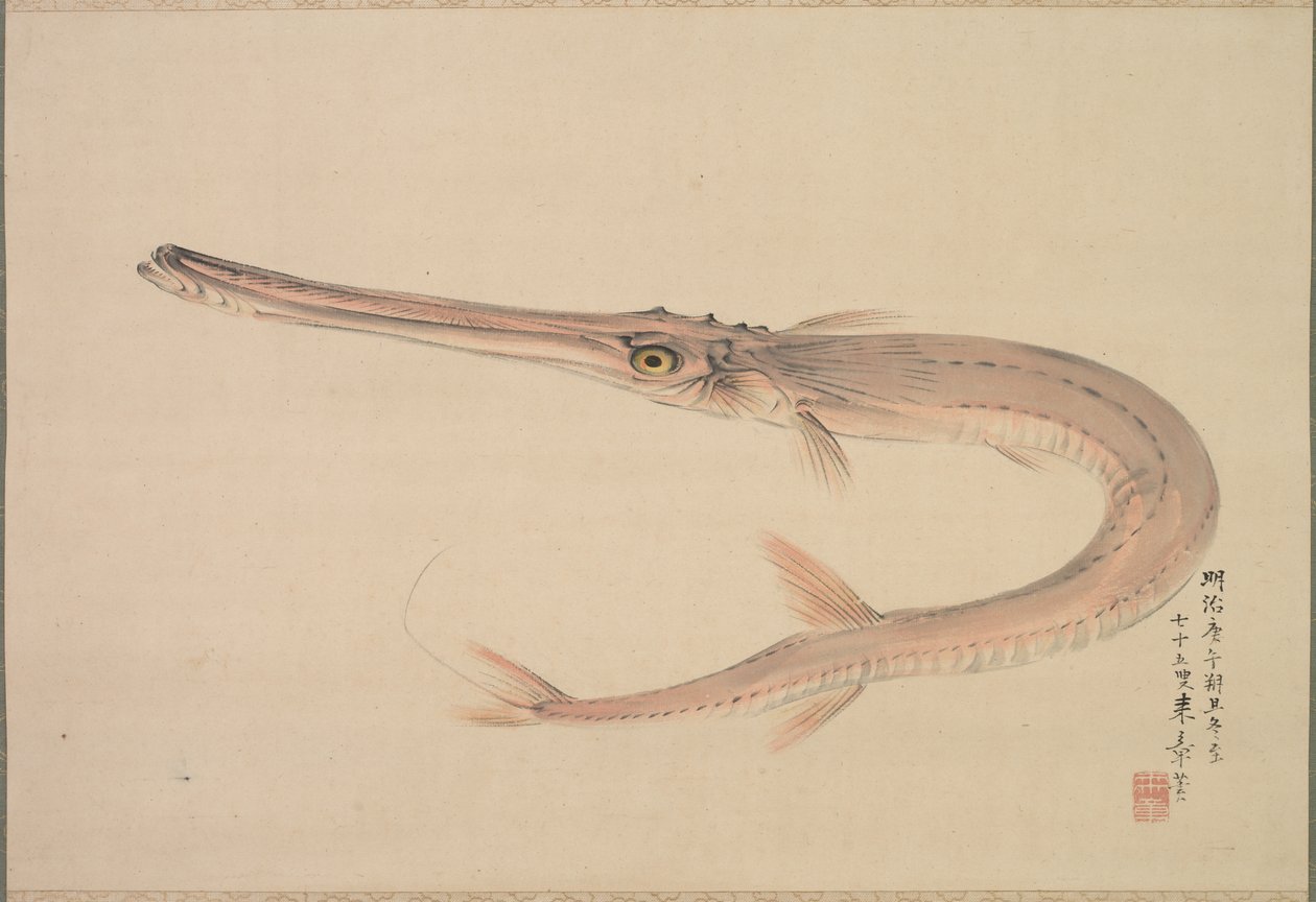Needlefish (vždy) od Nakajima Raishō