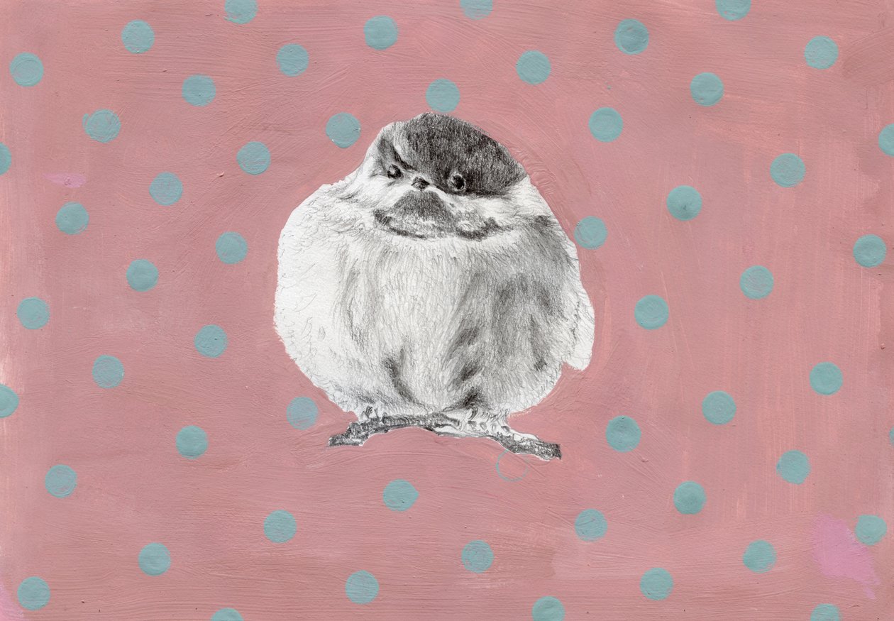 Chubby little bundle, 2014, (kvaš a tužka na papíře) od Nancy Moniz Charalambous