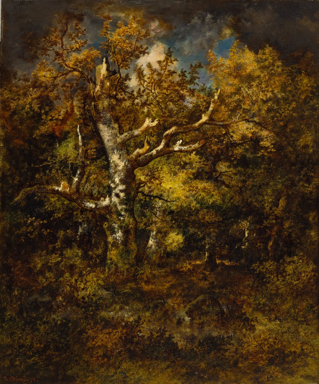 Forest of Fontainebleau, podzim, 1871 od Narcisse Virgile Diaz de la Peña